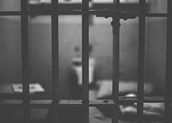 Jail & Lockup Liability (TCOLE)