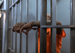 Suicide Prevention in Police Lockups (TCOLE) Suicide Prevention in Police Lockups (TCOLE)