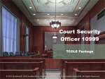 Court Security Officer #10999 (TCOLE) Package