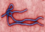 Ebola & Other Infectious Diseases (TCOLE) Package