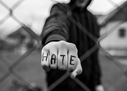 Hate & Bias Crimes (TCOLE)