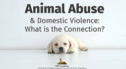 Animal Abuse and Domestic Violence: What is the Connection? #2035 (TCOLE)