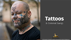 Tattoos & Criminal Gangs #3283 (TCOLE)